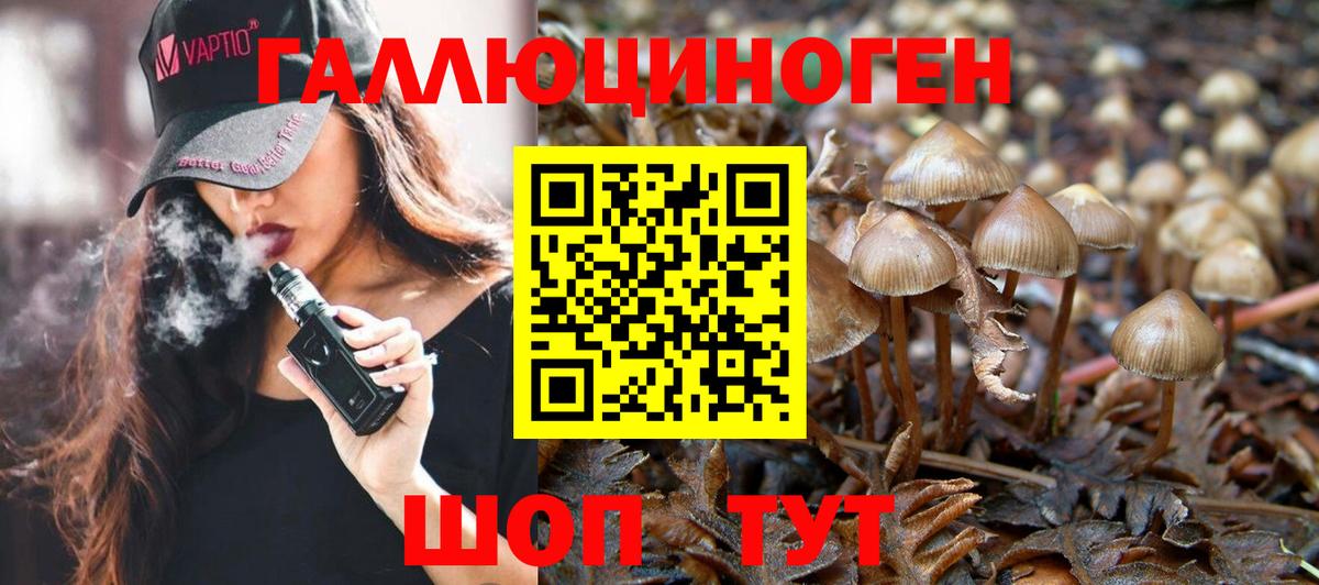 Галлюциногенные грибы ЛСД Чебоксары