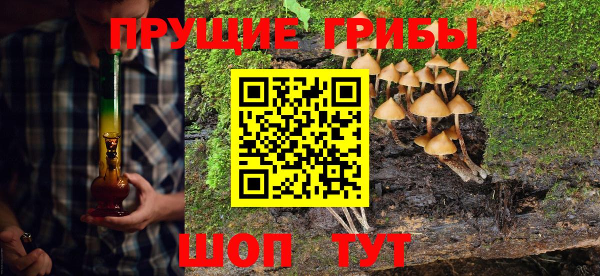 Галлюциногенные грибы Magic Shrooms  Вход с VPN  Чебоксары 